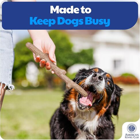 American Kennel Club Training Dog Chew Toy, TPR Wood Stick Dog Toy, Durable Dog Toy for Moderate Chewers, Maplewood Scented for Long-Lasting Engagement, Supports Dental Health in Kuwait