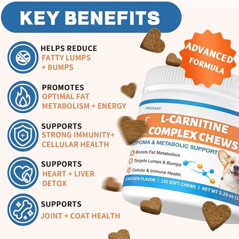 علاج الورم الشحمي للكلاب – L-Carnitine يحسن استقلاب الدهون والراحة؛ تركيبة متقدمة مع ذيل الديك الرومي، ويوننان سانكي، ومزيج CoQ10 والكركمين للعناية الخلوية والمناعة والحيوية - 150 قطعة للمضغ in Kuwait