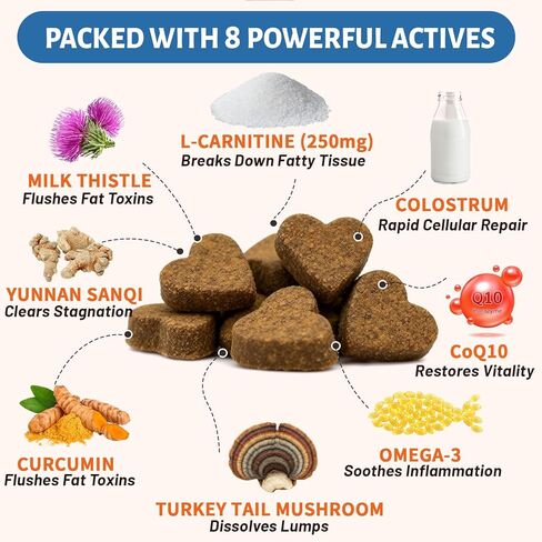 علاج الورم الشحمي للكلاب – L-Carnitine يحسن استقلاب الدهون والراحة؛ تركيبة متقدمة مع ذيل الديك الرومي، ويوننان سانكي، ومزيج CoQ10 والكركمين للعناية الخلوية والمناعة والحيوية - 150 قطعة للمضغ in Kuwait