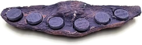 Oceans Wonders MAG Rock 6.0 Magnetic Coral Frag Rack Plug Holder with 6 Plugs in Kuwait