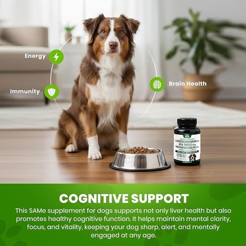 Liver Support Supplement for Large Dogs with Silymarin (Same & Silybin) S-Adenosyl-L-methionine (SAM-e) & Silybum (Milk Thistle) Dog Liver Supplement - 3rd Party Tested, Non GMO - 30 Chewable Tablets in Saudi Arabia