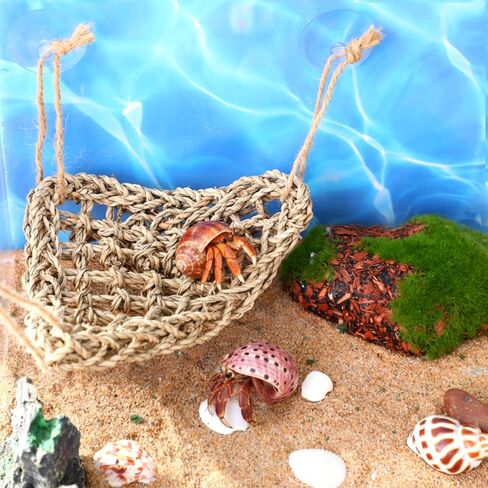 14 قطعة من ملحقات السلطعون الناسك الطبيعي، لعبة الطحالب والنباتات الاصطناعية، أكواب شفط للسحلية، الحرباء، الفهد، أبو بريص، الزواحف، البرمائيات، ديكور الخزان (نمط الغابات المطيرة) in Kuwait