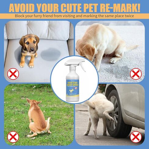 16 Fl Oz Training Aid to Stop Dogs from Marking Inside the House - Gentle and Effective Pet Behavior Aid - Help Dogs Stop Marking in Your Home in Kuwait