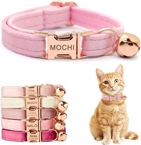 Personalized Non-Breakaway Cat Collar with Name, Luxury Soft Velvet Custom Engraved Name Collar with Bell for Kittens & Cats (Blue with Stars, S (6.5-10.5 inches)) in Kuwait
