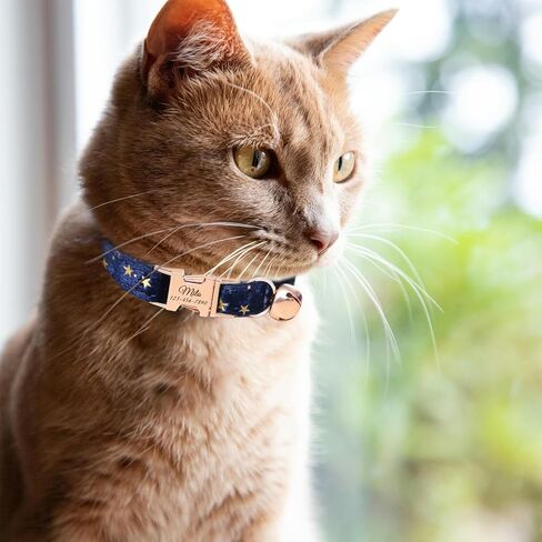 Personalized Non-Breakaway Cat Collar with Name, Luxury Soft Velvet Custom Engraved Name Collar with Bell for Kittens & Cats (Blue with Stars, S (6.5-10.5 inches)) in Kuwait