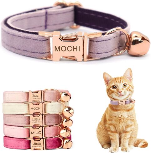 Personalized Non-Breakaway Cat Collar with Name, Luxury Soft Velvet Custom Engraved Name Collar with Bell for Kittens & Cats (Blue with Stars, S (6.5-10.5 inches)) in Kuwait