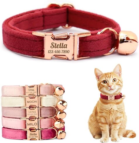 Personalized Non-Breakaway Cat Collar with Name, Luxury Soft Velvet Custom Engraved Name Collar with Bell for Kittens & Cats (Blue with Stars, S (6.5-10.5 inches)) in Kuwait