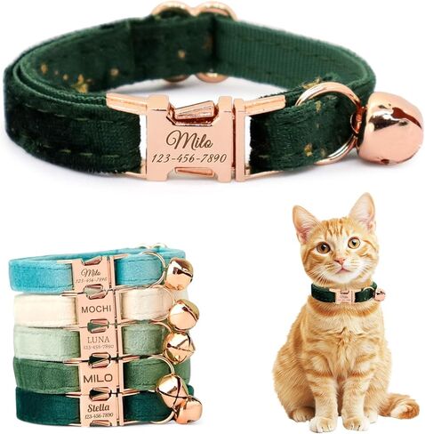 Personalized Non-Breakaway Cat Collar with Name, Luxury Soft Velvet Custom Engraved Name Collar with Bell for Kittens & Cats (Blue with Stars, S (6.5-10.5 inches)) in Kuwait