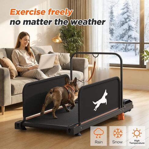 GOWE Small Dog Treadmill 2026 Edition - High-Value, Low-Noise Pet Exercise Machine for Indoor Puppy Training, Portable Running Wheel in Kuwait