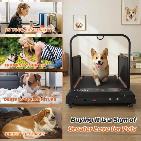 GOWE Small Dog Treadmill 2026 Edition - High-Value, Low-Noise Pet Exercise Machine for Indoor Puppy Training, Portable Running Wheel in Kuwait
