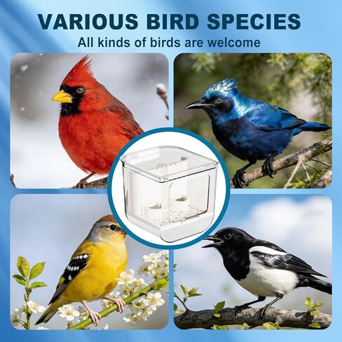 No Mess Bird Feeder for Cage, Hanging Bird Bath for Cage for Lovebirds, Finches, Parakeets, Budgies, and Other Small to Medium Birds in Kuwait
