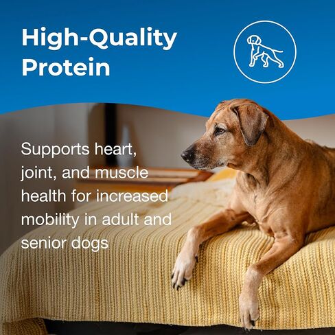 PetAg Esbilac Healthy Aging - 14 أونصة - يدعم صحة القلب والعضلات بالبروتين للكلاب البالغة/كبار السن 7+ - سهل الاستخدام in Kuwait