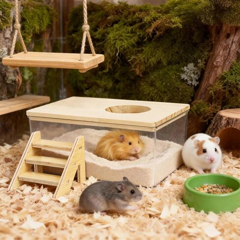 Coloch Hamster Sand Bath Box with Wood Cover, Rectangle Clear Hamster Digging Sand Container with Climbing Ladder Multifunctional Plastic Guinea Pig Bathroom for Small Animals in Kuwait
