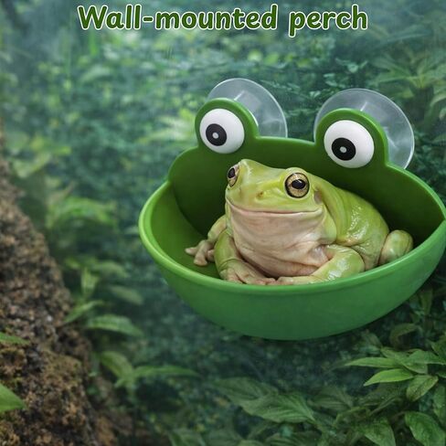 White's Tree Frog Hammock Hideout Accessories, 2pcs Frog Decor Hideout Habitat Tank Platform, Tree Frogs Terrarium Accessories for Toad Tadpole Amphibian Small Aquatic Animals (Decor Bowl) in Kuwait