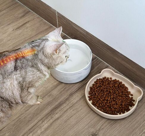 Cat Food and Water Bowl Set, Heavy Weighted Ceramic, No Tip Over, Shallow Wide Whisker Fatigue Silicone Dish, Pet Comfort Feeder for Small Dog, Untippable, Dishwasher Safe, 6 inch in Kuwait