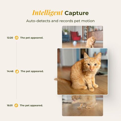 ARENTI Smart Automatic Cat Feeder and Water Fountain, 4L Pet Feeder Cat Food Dispenser with Camera, Dual Power, App Control, Live View & Night Vision, Meal Call, Hygienic Water Flow, Desiccant Bag in Kuwait
