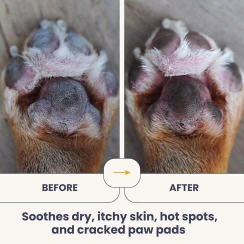 HOLI 100% Organic Coconut Oil for Dogs & Cats – Cold-Pressed Virgin Coconut Oil for Dogs Skin & Coat, Itchy Skin, Hot Spot Treatment & Paw Balm – MCT Lauric Supplement, Non-GMO, Pet Safe - 16oz in Kuwait