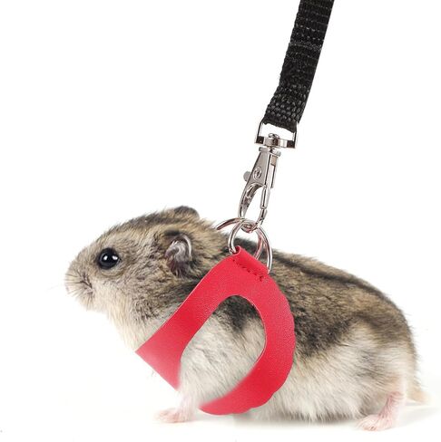 MERRYHAPY Small Pet Harness Leash Set 2 Pieces Breathable Chest Strap Traction Rope for Hamster Lizard Outdoor Walking in Crimson and Ebony in Kuwait