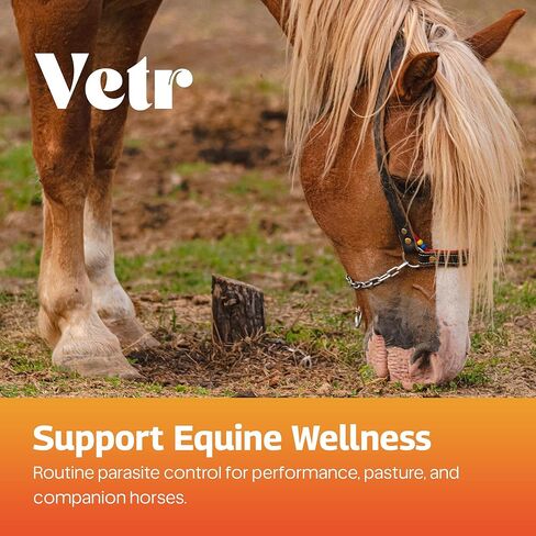 vetr Horse Intestinal Support Paste PraziMectin - Apple Flavor - 0.225 oz Syringe - for Horses up to 1320 lbs in Kuwait