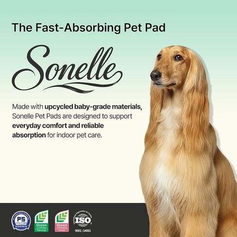 Charcoal Pee Pads for Dogs - Large 29.5"x23.6" Pet Pads - Patented Edge Lock - 7-Layer No-Leak, 800ml Absorption - Activated Carbon Odor Control Puppy Potty Training - Made in Korea - 30 Count in Kuwait