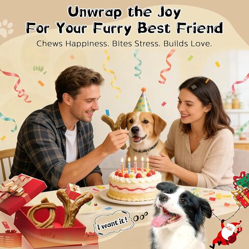 WOWBALA 2 Pack Dog Chew Toys for Aggressive Chewers,Indestructible Dog Toy for Medium Large Dogs, Chew Toys to Keep Dogs Busy,Super Chewer with Tough Nylon, Reduce Boredom & Anxiety in Saudi Arabia