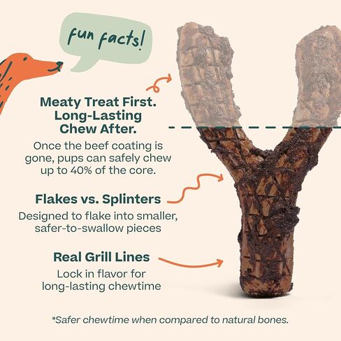 مضغ WOOF HonestChew Meaty Antler للكلاب - مصنوع من طبقة خارجية من لحم البقر الحقيقي ومكونات نباتية طبيعية - مقاومة للشظايا - أكثر أمانًا من الجلود الخام وعظام الكلاب - متوسط in Kuwait