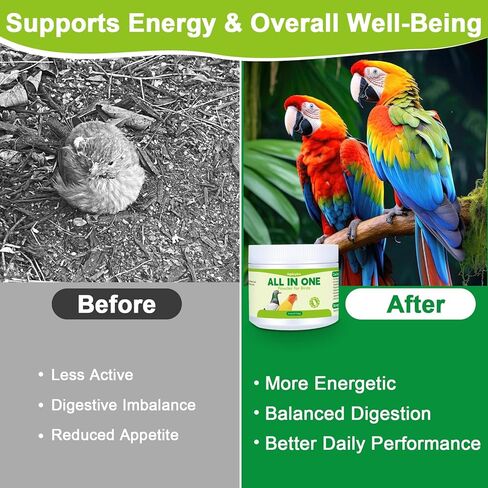 All in One Medicine Powder for Pigeon Parrots Canary Finches Parakeet Cockatiels Aviary Birds, Helps Maintain Digestive Balance Overall Vitality, Drinking Water Additive Wellness Support Powder in Kuwait