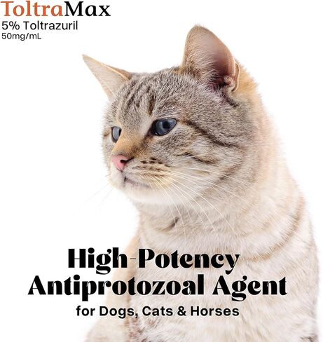 Toltrazuril, Apple Flavored 5.0% for Horses, Dogs, Cats, 120mL/4 Ounce, for Non-Food Chain Animals in Kuwait