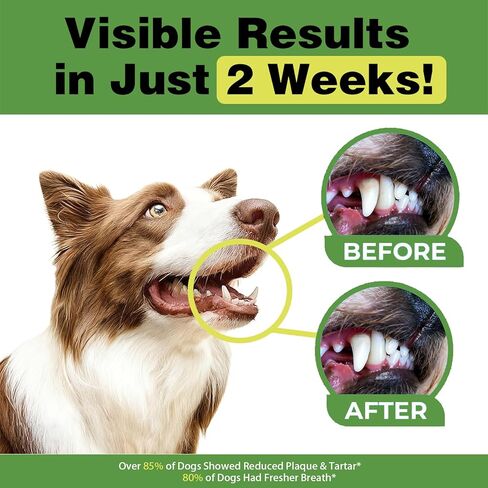 Dog Teeth Cleaning Powder, Dental Powder for Dogs Teeth Cleaning and Breath Fresh, Dog Tartar and Plaque Remover for Dental Care with Enzyme, Probiotics - Targets Tartar & Bad Breath - 150g in Kuwait