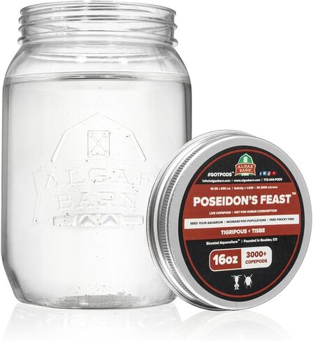 عيد AlgaeBarn Poseidon :: مجدافيات الأرجل البحرية الحية - 3000+ قرون Tisbe وTigriopus لسمك الماندرين والفينيكي (16 أونصة) in Kuwait