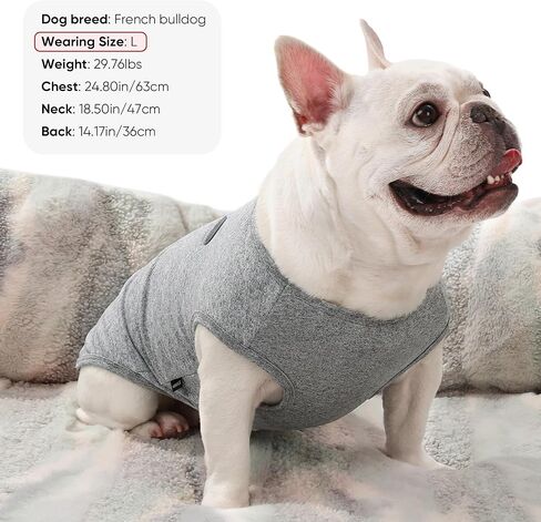 3 Pack Lightweight Sun Protection Dog Shirt Breathable Sleeveless Dog T Shirts Extra Soft Top Tank Dog Clothes for Outdoor Activities (Dark Gray + Sky Blue + Lake Blue, Small) in Kuwait