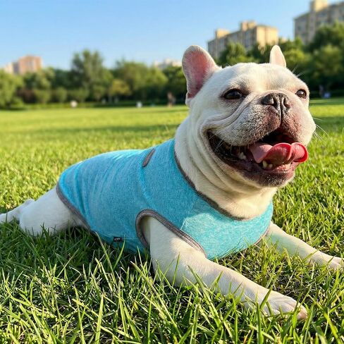 3 Pack Lightweight Sun Protection Dog Shirt Breathable Sleeveless Dog T Shirts Extra Soft Top Tank Dog Clothes for Outdoor Activities (Dark Gray + Sky Blue + Lake Blue, Small) in Kuwait