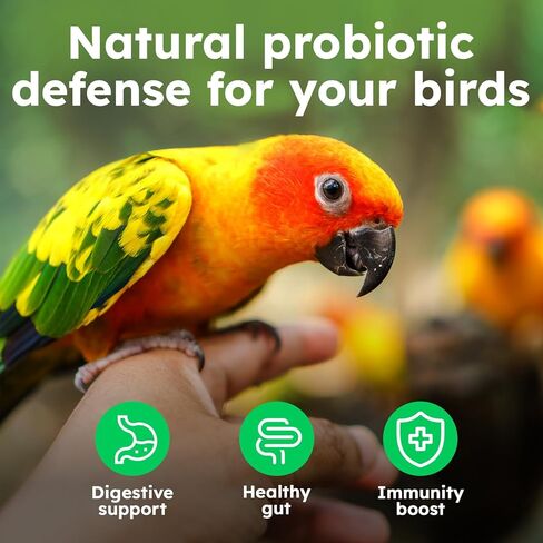 Avian Probiotics for Birds & Parrots – Digestive & Gut Health Support Powder with Prebiotics (FOS), 6-Strain Formula for Parrots & Pet Birds (120 Servings) in Kuwait