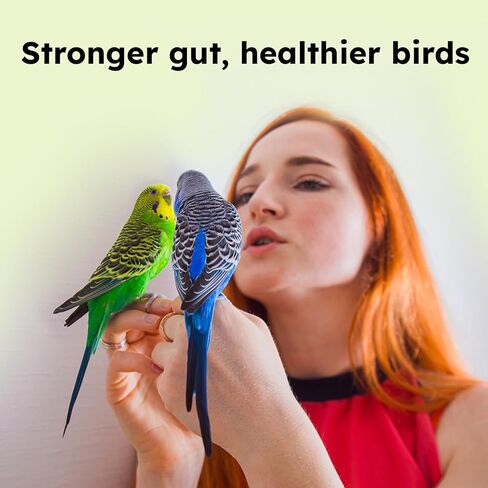 Avian Probiotics for Birds & Parrots – Digestive & Gut Health Support Powder with Prebiotics (FOS), 6-Strain Formula for Parrots & Pet Birds (120 Servings) in Kuwait