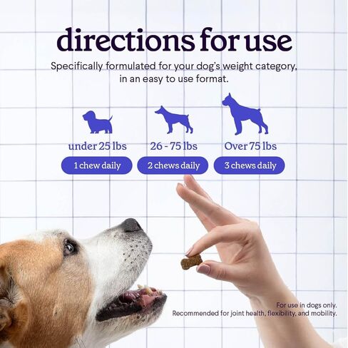 Premium Glucosamine For Dogs – Advanced Hip & Joint Supplement With Glucosamine Chondroitin For Dogs Flexibility, Mobility & Relief – Hip & Joint Supplement With Collagen & MSM – 120 Chews in Kuwait