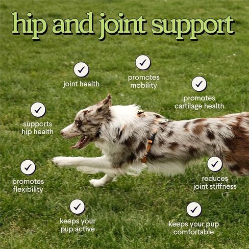 Premium Glucosamine For Dogs – Advanced Hip & Joint Supplement With Glucosamine Chondroitin For Dogs Flexibility, Mobility & Relief – Hip & Joint Supplement With Collagen & MSM – 120 Chews in Kuwait