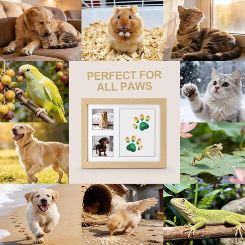 Pet Memorial Gift Set – Dog & Cat Paw Print Kit with Wood Frame, Paw-Shaped Keychain, Air-Dry Clay, Acrylic Paint, and Tools for DIY Pet Keepsake, Perfect for Dog Lovers, Cat Owners & Animal Fans in Kuwait