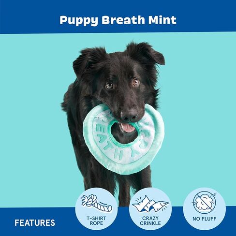 Barkbox Puppy Breath Mint Dog Toy | Fluff-Free Crinkle Disc with T-Shirt Rope | Durable Tug & Fetch Toy for Dogs in Kuwait
