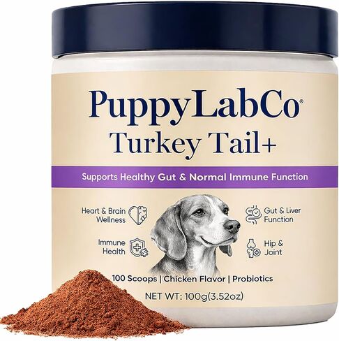 Puppy Lab Co ذيل الديك الرومي، فطر ذيل الديك الرومي من PuppyLabCo للكلاب، فطر ذيل الديك الرومي + مكمل مسحوق البروبيوتيك، نكهة الدجاج، دعم الأمعاء والمناعة، 100 جرام (1) in Kuwait