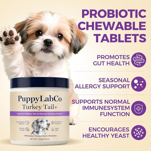 Puppy Lab Co ذيل الديك الرومي، فطر ذيل الديك الرومي من PuppyLabCo للكلاب، فطر ذيل الديك الرومي + مكمل مسحوق البروبيوتيك، نكهة الدجاج، دعم الأمعاء والمناعة، 100 جرام (1) in Kuwait