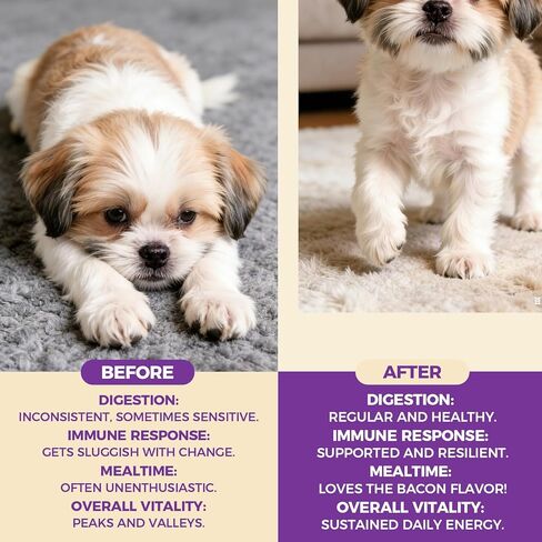 Puppy Lab Co ذيل الديك الرومي، فطر ذيل الديك الرومي من PuppyLabCo للكلاب، فطر ذيل الديك الرومي + مكمل مسحوق البروبيوتيك، نكهة الدجاج، دعم الأمعاء والمناعة، 100 جرام (1) in Kuwait