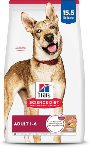 Hill's Science Diet Adult 1-6 Dry Dog Food, Lamb Meal & Brown Rice, 33 lb. Bag in Kuwait