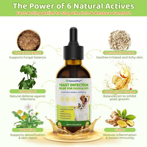 Natural Yeast Relief Drops for Dogs & Cats – 2 fl oz Herbal Ear & Skin Support for Itching, Paw Licking, Hot Spots & Odor Control – Apple Cider Vinegar & Goldenseal – Chicken Flavor Liquid Drops in Kuwait