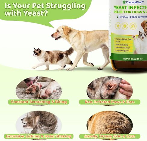 Natural Yeast Relief Drops for Dogs & Cats – 2 fl oz Herbal Ear & Skin Support for Itching, Paw Licking, Hot Spots & Odor Control – Apple Cider Vinegar & Goldenseal – Chicken Flavor Liquid Drops in Kuwait