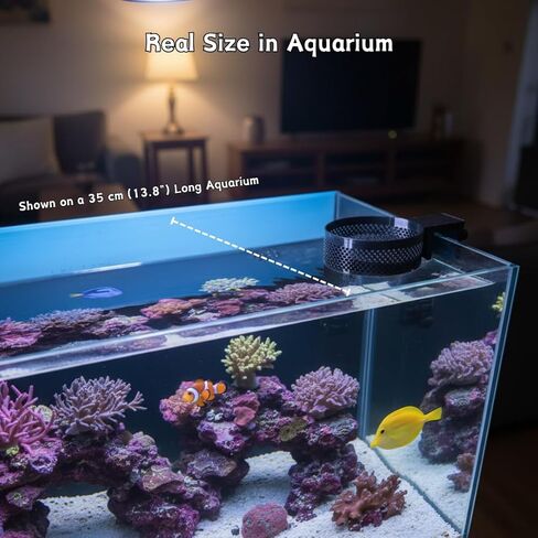 Aquarium Water Change Diffuser – Spill-Proof Water Changer for Rimless Fish Tanks, Protects Substrate, Plants & Decorations, Safe for Fish and Shrimp (Black, Medium) in Kuwait
