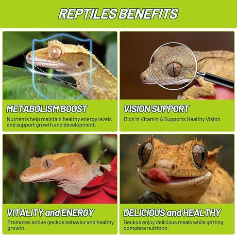 Crested Gecko Food Insect Puree, Banana Paste Reptile Food Made with Fresh Insects Gecko Food Complete Diet 2.82oz in Kuwait