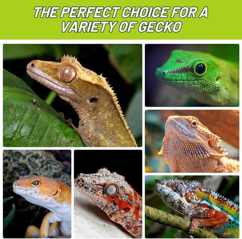 Crested Gecko Food Insect Puree, Banana Paste Reptile Food Made with Fresh Insects Gecko Food Complete Diet 2.82oz in Kuwait