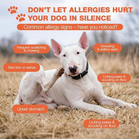 180 Chews Dog Allergy Chews, Itching Skin Relief, Natural Dog Allergy Relief Treatment for Paw Licking, Hot Spots, Anti-Itch, Dry Skin, Allergies & Immune Support Supplement in Kuwait