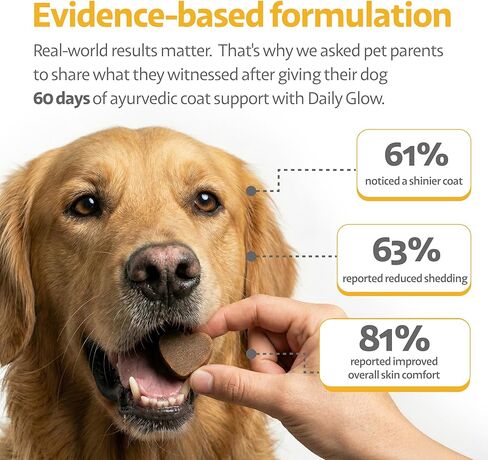 Dog Allergy Chews for Itchy Skin, Hot Spots, Paw Licking & Itchy Ears – Ayurvedic Herbal Omega-3 Anti Itch Support with Turmeric & Shatavari – Fish Flavor – 90 Count in Kuwait