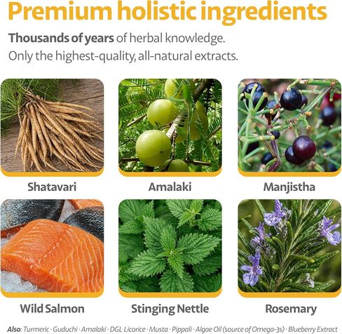 Dog Allergy Chews for Itchy Skin, Hot Spots, Paw Licking & Itchy Ears – Ayurvedic Herbal Omega-3 Anti Itch Support with Turmeric & Shatavari – Fish Flavor – 90 Count in Kuwait